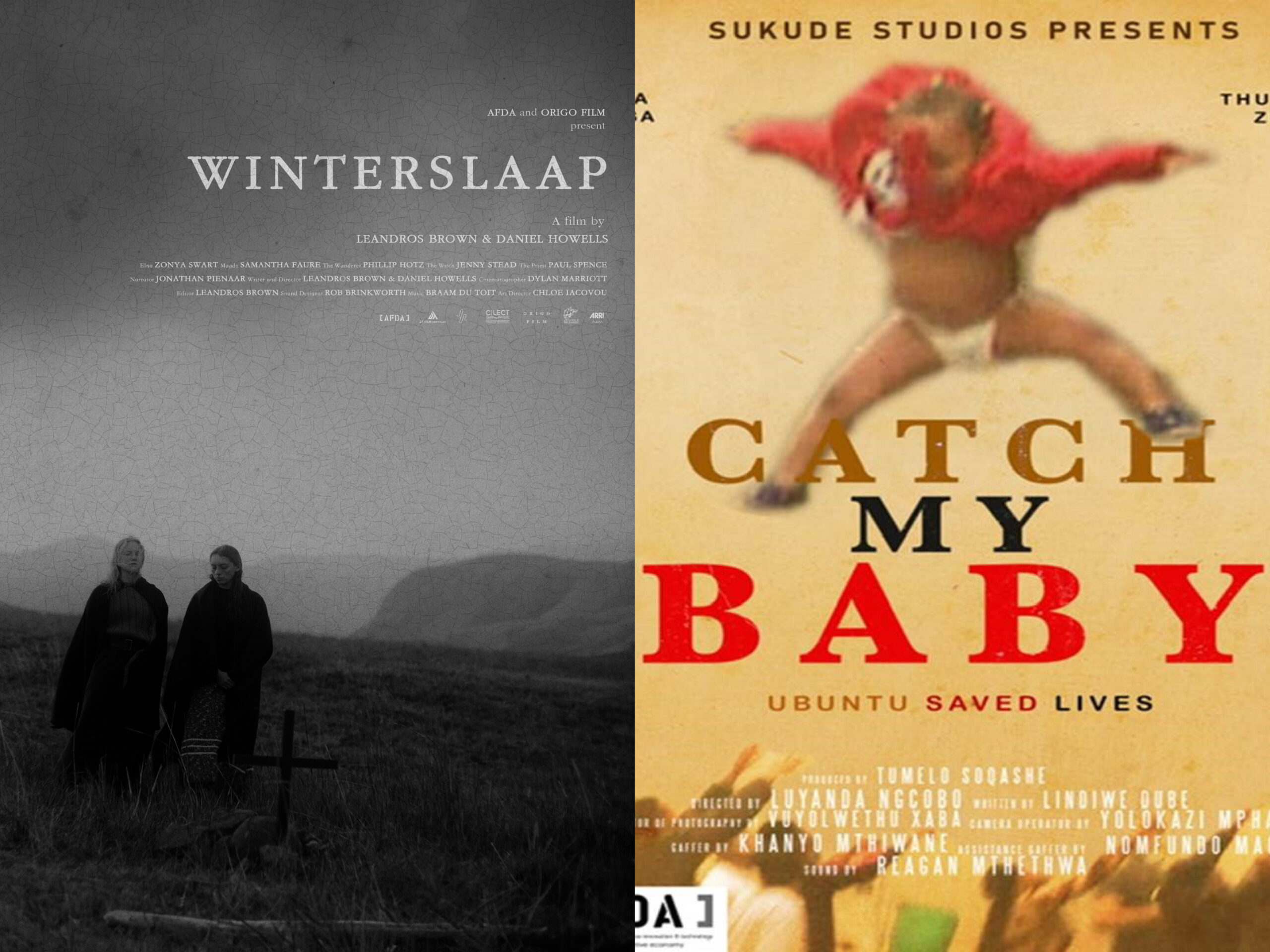 AFDA Film School, AFDA School of Live Performance, AFDA School of Business and Innovation, AFDA School of Creative Writing