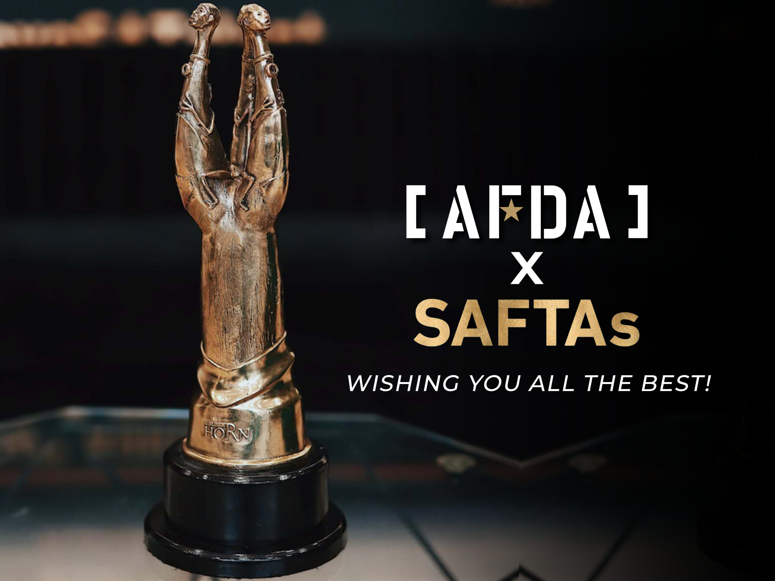 AFDA Film School, AFDA School of Live Performance, AFDA School of Business and Innovation, AFDA School of Creative Writing, SAFTA Nominations